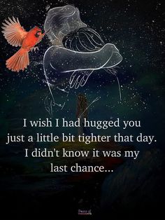 a red bird flying over a person's shoulder with the caption i wish i had hugged you just a little bit higher than that day