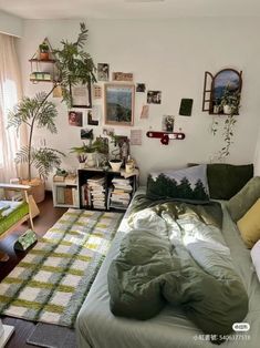 a living room filled with lots of furniture and plants on the wall above it's bed