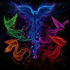 three colorful birds flying in the air with swirly lines on their body and wings