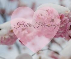 a pink heart with the words hello february written on it in front of some flowers