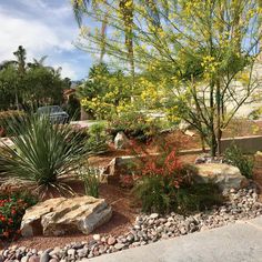 a garden with rocks and flowers in the foreground