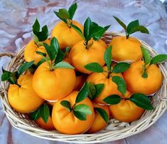 a basket filled with lots of oranges on top of a table