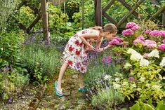 Small Flower Garden, Clematis Jackmanii, French Hydrangea, Wisteria Plant, Biennial Plants, Climbing Hydrangea, Sensory Garden, Easy Landscaping, Edible Landscaping