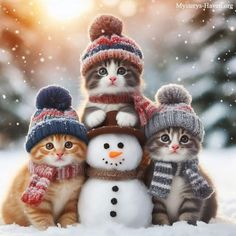 three kittens are standing next to a snowman wearing hats and scarves in the snow