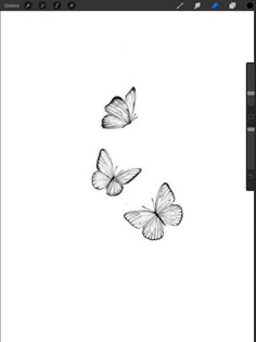 two white butterflies flying in the air