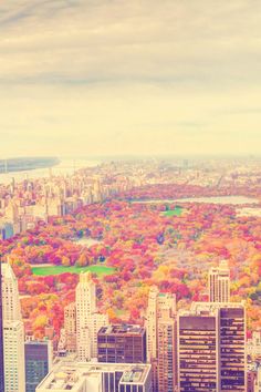 an aerial view of the city with autumn foliage