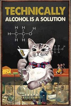 a cat is sitting in front of a blackboard with the words technically alcohol is a solution