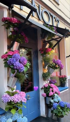 a store front with flowers hanging from it's windows