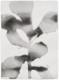 black and white photograph of flowers with watercolors on paper, in the shape of an abstract flower