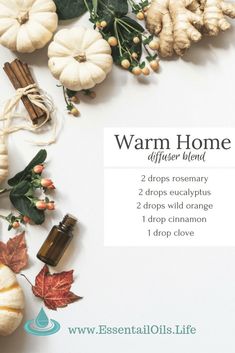 Diy Diffuser Blends, Home Diffuser, Plant Vegetables, Fall Diffuser Blends, Essential Oil Combinations, Essential Oil Diffuser Blends Recipes, Clove Essential Oil, Essential Oil Diffuser Recipes, Oil Diffuser Recipes