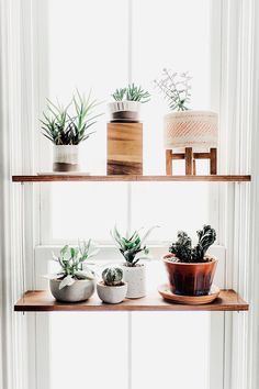 three shelves with plants on them in front of a window