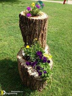 a tree stump with flowers growing out of it