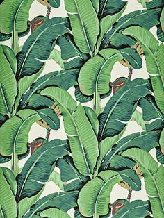 Hinson Palm Wallpaper for Scalamandre Beverly Hills Hotel Palm Print Martinique Wallpaper, Banana Palm, Palm Leaf Wallpaper, Palm Wallpaper, Beverly Hills Hotel, Summer Green, Banana Leaves, Green Sky, Leaf Wallpaper