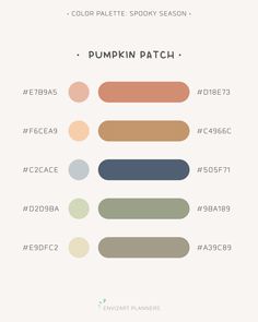 the color palette for pumpkin patch