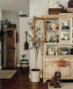 a dog sitting on the floor in front of a china cabinet