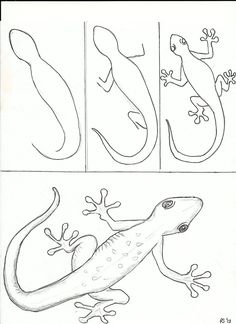 the letter g is for gecko and an image of a lizard with its legs spread out