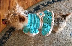 a small dog wearing a crocheted sweater on top of a carpeted floor