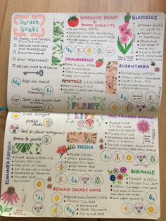 an open notebook with flowers and plants on the pages, which are labeled in different languages