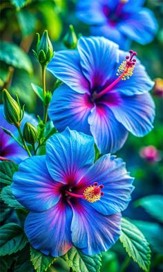 blue flowers with green leaves in the foreground and another flower on the right side