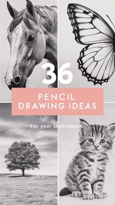 the cover of 35 pencil drawing ideas for your sketchbook, including a horse and a cat