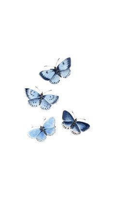 three blue butterflies flying in the sky