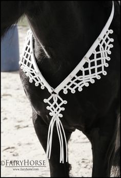 a black horse wearing a white crochet halter