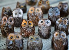 an assortment of owl figurines sitting on top of a wooden table