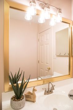 a bathroom sink with a large mirror above it and a potted plant on the counter