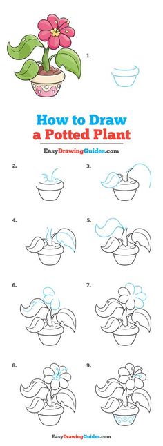 how to draw a potted plant for kids with instructions on how to draw pots