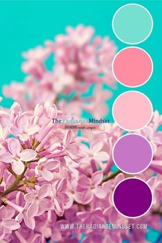 the color palette is in shades of pink, purple and blue with lila flowers on it