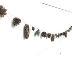 pine cones are hanging from a string with evergreen needles and pine cones on the line