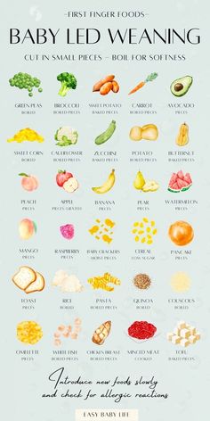 the baby led weaning poster shows different types of vegetables and their names on it