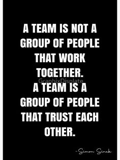 a team is not a group of people that work together, a team is a group of people that trust each other