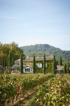 an old house surrounded by trees and bushes in front of a hill with mountains behind it