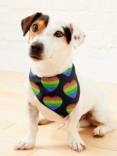 a dog wearing a rainbow heart bandana