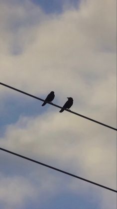 two birds sitting on top of power lines with cloudy sky in the backround