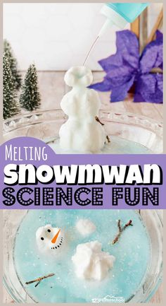 the cover of melting snowman science fun