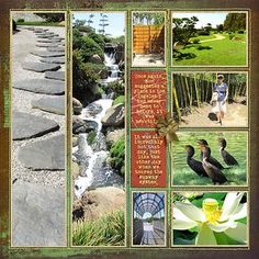 a collage of photos with birds and flowers on them, including a river in the background