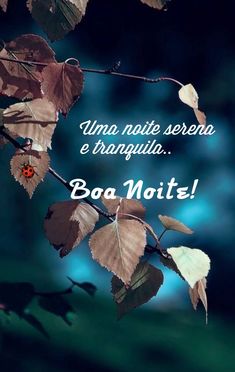 an image of leaves with the words boa moti in spanish and english on it