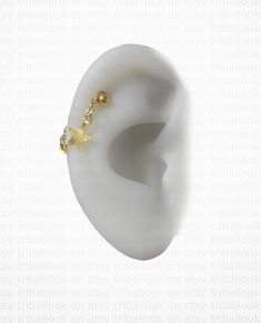 an ear with two gold stars attached to it