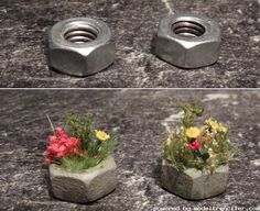 four different images of flowers in concrete containers