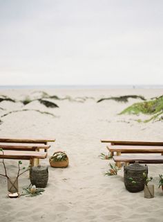 two wooden benches sitting on top of a sandy beach next to the ocean with plants growing out of them