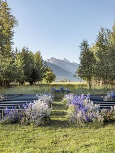 an outdoor ceremony setup with blue flowers and mountains in the backgrounnds