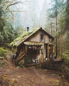 a small cabin in the woods with grass roof and stairs leading up to it's entrance