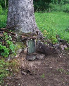 an image of a tree that is growing out of the ground and has been posted on instagram