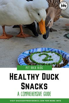 two ducks eating food out of a blue and white bowl with the words healthy duck snacks on it