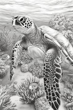 a black and white drawing of a sea turtle swimming over corals in the ocean