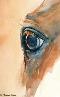 a horse's eye is shown in this painting