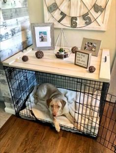 a dog laying in its cage on the floor next to a wall clock and pictures