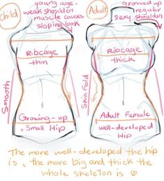 the different types of female mannequins are shown in this drawing, which shows how